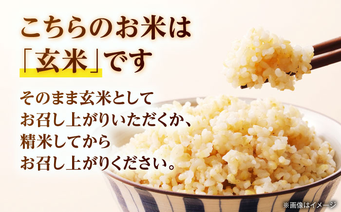 【先行予約】 令和8年度産 ヒノヒカリ 玄米 30kg 【奥村果実園】 [ZFK011]