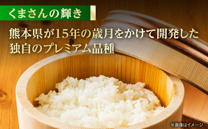 【先行予約】食べ比べ くまさんの輝き ヒノヒカリ 10kg（5kg×2袋） 白米 山鹿市産【奥村果実園】 [ZFK023]