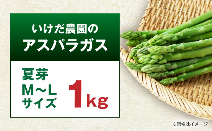 【先行予約】 山鹿市産 いけだ農園のアスパラガス 夏芽(M~Lサイズ)　約1kg【いけだ農園】 [ZFP001]