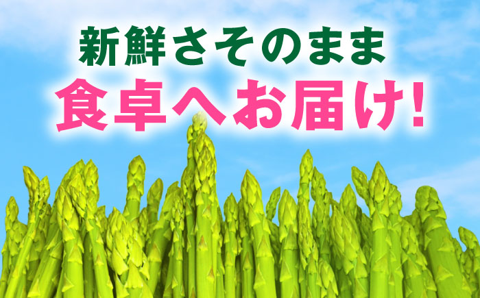 【先行予約】 山鹿市産 いけだ農園のアスパラガス 春芽(M~Lサイズ)　約1kg【いけだ農園】 [ZFP002]