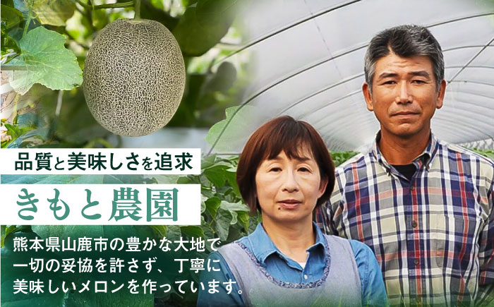 【先行予約】  山鹿の恵み! 匠の育てた　肥後グリーン メロン 約2kg以上（約2kg以上×1玉）【きもと農園】 [ZFQ002]