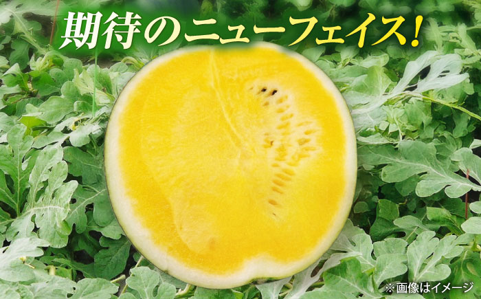 【先行予約】 山鹿の恵み! 匠の育てたムーンフラッシュ　大玉スイカ(約8kg前後×1玉)【きもと農園】 [ZFQ005]