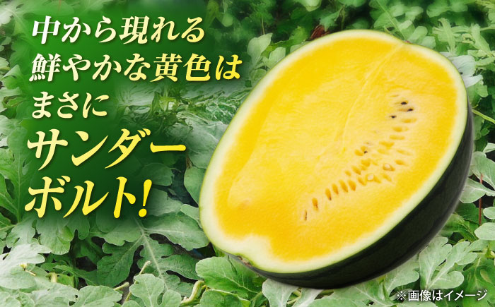 【先行予約】 山鹿の恵み! 匠の育てたサンダーボルト　大玉スイカ(約8kg前後×1玉)【きもと農園】 [ZFQ006]