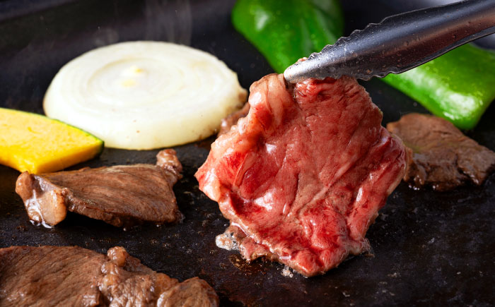 熊本あか牛 焼肉用カット ( バラ ロース ) 500g 【合同会社　長岡フーズ】 [ZFR041]