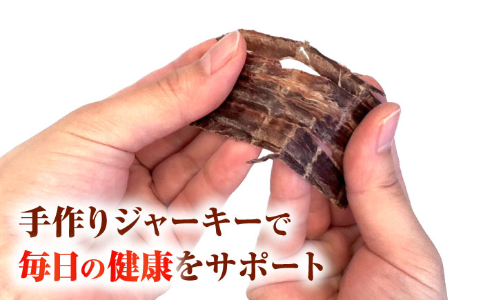 【全12回定期便】ペット用 馬刺しジャーキー 100g(50g×2) 【合同会社　長岡フーズ】 [ZFR064]