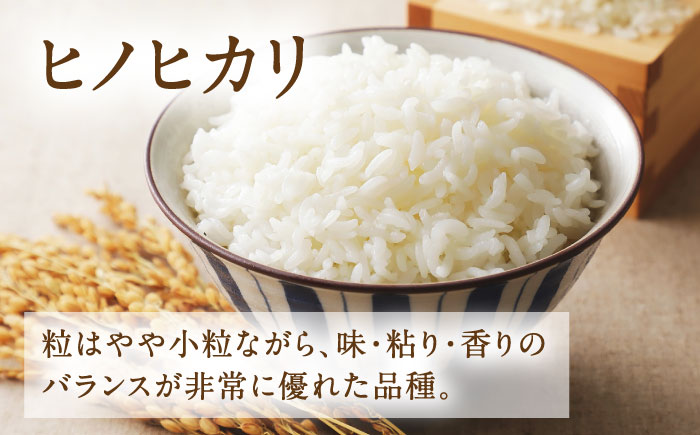 【先行予約】 ヒノヒカリ 白米 6㎏（2㎏×3袋）【株式会社 岩下農園】 [ZFS002]