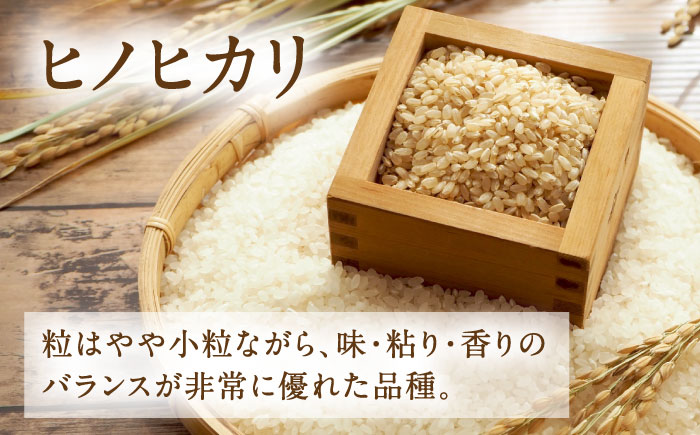 【先行予約】 ヒノヒカリ 玄米 6㎏（2㎏×3袋） 【株式会社 岩下農園】 [ZFS005]