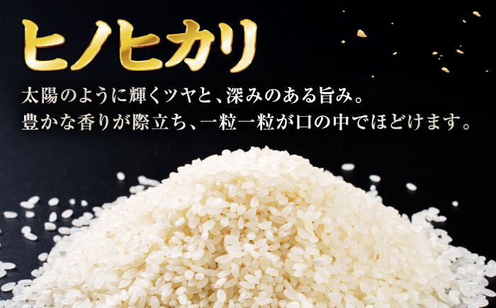 〈令和7年度産米〉 【日本一受賞田】歴史ある米どころ山鹿からお届け 極献上米 ヒノヒカリ 無洗米　5kg　【ひなたのお米と野菜 大嶋】 [ZFW001]
