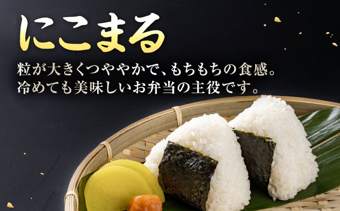 〈令和7年度産米〉 天然の栄養で実った おいしい一粒 レンゲ栽培 にこまる 無洗米 5kg 山鹿 お米 【ひなたのお米と野菜 大嶋】 [ZFW003]