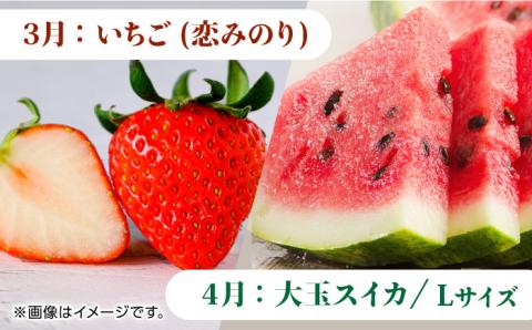 【先行予約】【6回定期便】肉と果物 定期便 ～熊本のうまかもん～ [ZZZ004] フルーツ定期便 果物 くだもの 果物定期便 フルーツ定期 くまもと黒毛和牛 九州産黒毛和牛 ステーキ