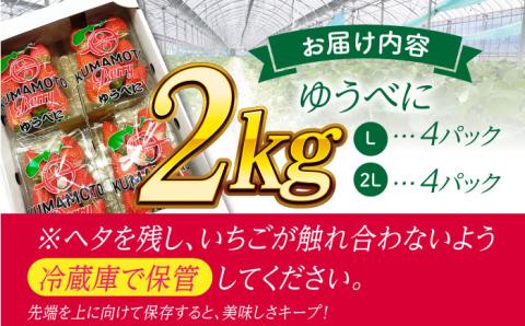 大粒いちご L～2L ゆうべに 2kg（計8pc）【熊本ベリー】フルーツ 果物 くだもの いちご イチゴ 苺 ゆうべに 大粒いちご 国産  [ZER002]