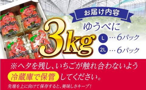 大粒いちご L～2L ゆうべに 3kg（計12pc）【熊本ベリー】フルーツ 果物 くだもの いちご イチゴ 苺 ゆうべに 大粒いちご 国産 熊本県産 九州産 [ZER003]