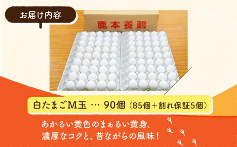 白たまご M玉 90個（85個＋5個割れ保証）【農事組合法人 鹿本養鶏組合】 [ZCA001]