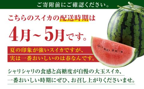 【先行予約】大玉 すいか Lサイズ【株式会社 前田ファーム】 [ZCM001]