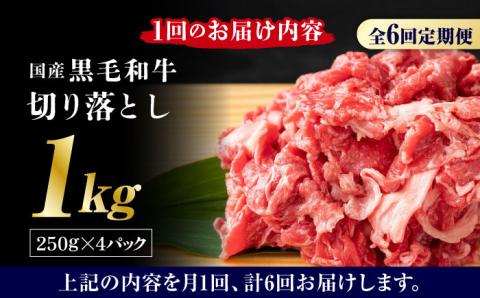 【6回定期便】熊本県産 黒毛和牛 切り落とし 計約1kg (約250g×4P) 小分け 国産 A4 A5 山鹿 【有限会社九州食肉産業】[ZDQ033]
