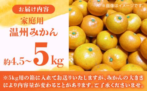 【年内発送は12月21日ご入金分まで！】【訳あり】家庭用 温州 みかん 約4.5kg～5kg【合同会社 福福堂】 [ZCN014]