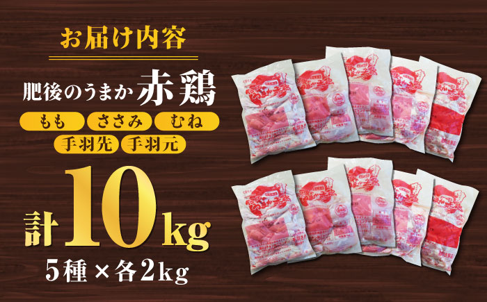 肥後のうまか 赤鶏  5種食べ比べセット（モモ ささみ ムネ 手羽先 手羽元）各2kg 計10kg【やまうちフード株式会社 熊本営業所】  国産 九州産  鳥 セット 肉 [ZAB005]