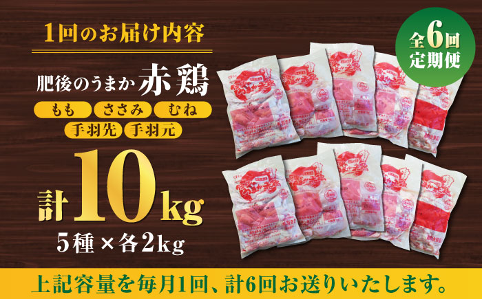 【6回定期便】肥後のうまか 赤鶏  5種食べ比べセット（モモ ささみ ムネ 手羽先 手羽元）各2kg【やまうちフード株式会社 熊本営業所】 国産 九州産  鳥 セット 肉  [ZAB013]