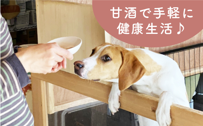 【6回定期便】ワンワン 甘酒 犬 用  （濃縮タイプ） 便利な スタンドパック入り 190g×3【有限会社 木屋食品工業】 [ZAD032]