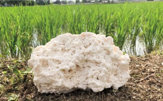 お米 6kg【農事組合法人 庄の夢】 [ZAF001]