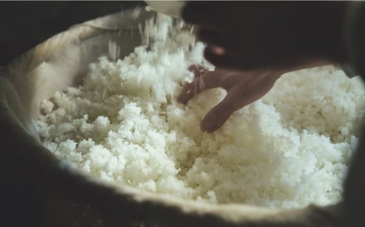 純米大吟醸 朱盃 720ml 6本セット【千代の園酒造 株式会社 】 [ZAI007]