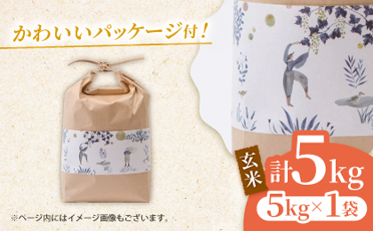〈令和7年度新米〉 合鴨玄米 5kg 【あいがもん倶楽部】 新米 令和7年産 [ZAR028]