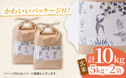 〈令和7年度新米〉 合鴨玄米 5kg×2 計10kg 【あいがもん倶楽部】 新米 令和7年産 [ZAR029]