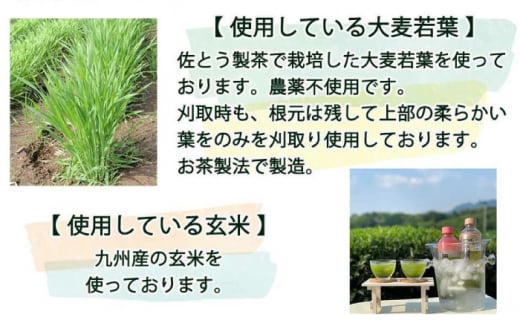 コラーゲン入り 粉末茶 2袋セット 【有限会社 佐とう製茶】 [ZAS004]