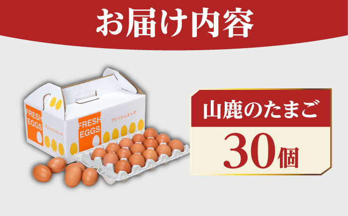 たまご 30個 約2kg【マツヤマエッグファーム】 [ZAW003]