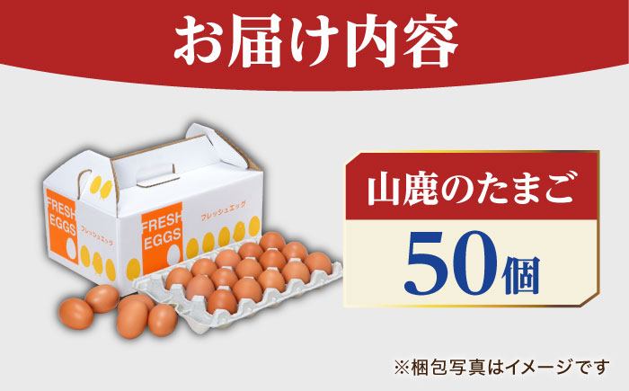 たまご 50個 約3kg【マツヤマエッグファーム】 [ZAW005]