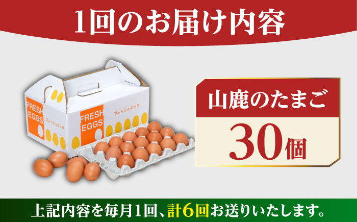【全6回定期便】 たまご 30個 約2kg【マツヤマエッグファーム】 [ZAW007]