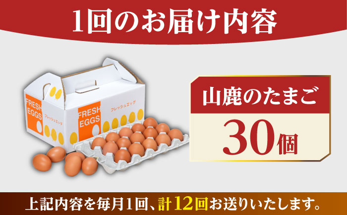 【全12回定期便】 たまご 30個 約2kg【マツヤマエッグファーム】 [ZAW008]