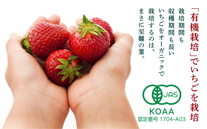 高級 いちご 100％ワイン Giftfromthe Earth -大地からの贈り物- オーガニック【伊藤農園】 お酒 ワイン オーガニックワイン 酒  [ZBB004]