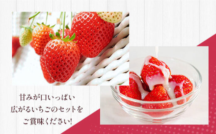 【先行予約】 ゆうべに・恋みのり 食べ比べセット 約1kg【くまふる】 [ZBG064]