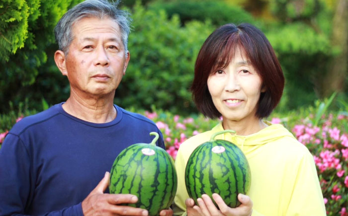 【先行予約】【初夏に実った贈り物】 小玉 スイカ 約7kg【なかむら農園】 [ZBH002]