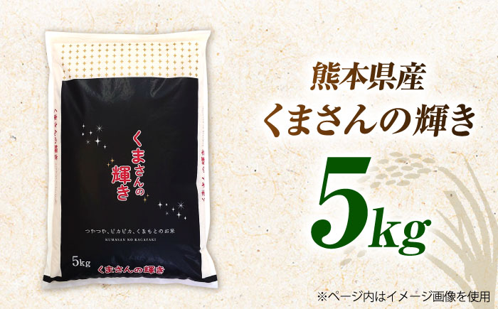 〈令和7年度産米〉熊本県産 くまさんの輝き 白米 5kg 米 お米 ご飯 こめ【有限会社 あそしな米穀】 [ZBI033]