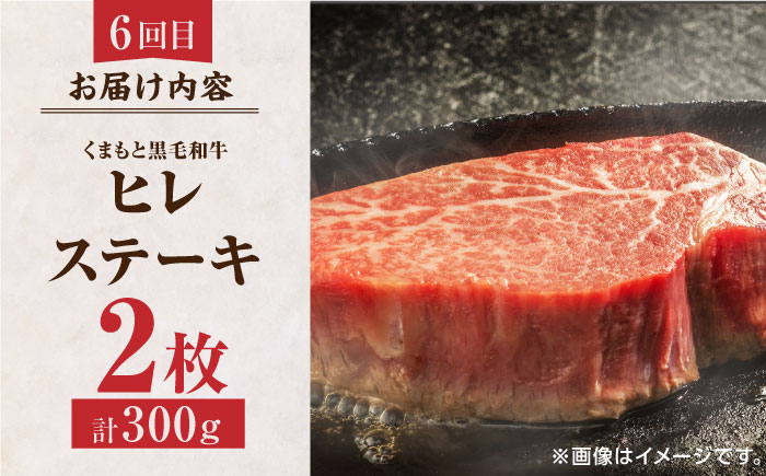 【6回定期便】くまもと黒毛和牛 贅沢定期便（ステーキ すき焼き しゃぶしゃぶ 焼肉）【馬刺しの郷 民守】 和牛 お肉 肉 ステーキ サーロイン  [ZBL036]