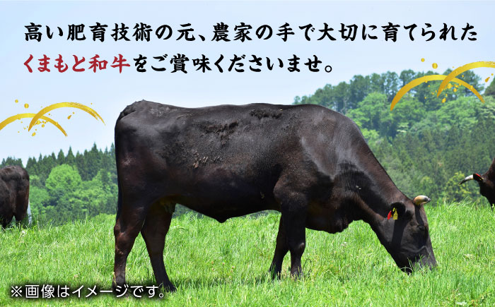 【12回定期便】くまもと黒毛和牛 贅沢定期便（ステーキ すき焼き しゃぶしゃぶ 焼肉）【馬刺しの郷 民守】 すき焼き しゃぶしゃぶ スライス 焼肉 バラ 肩ロース  [ZBL037]