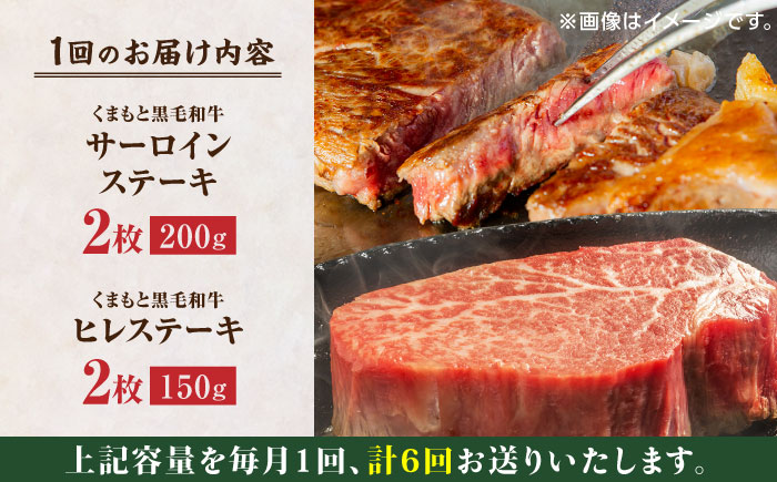 【6回定期便】くまもと黒毛和牛 ステーキ食べ比べ ヒレステーキ×2枚 サーロインステーキ×2枚【馬刺しの郷 民守】  食べ比べ セット 霜降り ステーキセット  [ZBL086]
