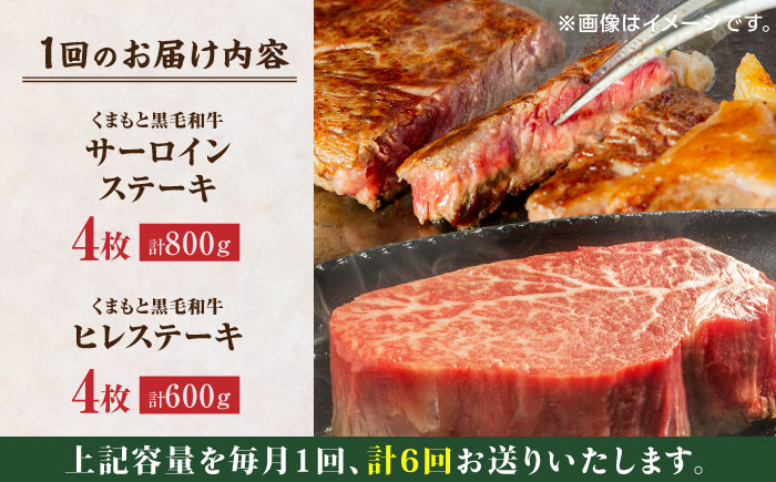 【6回定期便】くまもと黒毛和牛 ステーキ食べ比べ ヒレステーキ×4枚 サーロインステーキ×4枚【馬刺しの郷 民守】  食べ比べ セット 霜降り ステーキセット  [ZBL087]