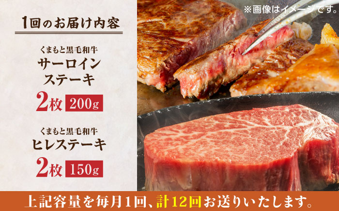 【12回定期便】くまもと黒毛和牛 ステーキ食べ比べ ヒレステーキ×2枚 サーロインステーキ×2枚【馬刺しの郷 民守】 食べ比べ セット 霜降り ステーキセット  [ZBL114]