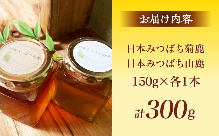 日本みつばち菊鹿・山鹿 計2本セット 【山麓はっち】 [ZBM005]