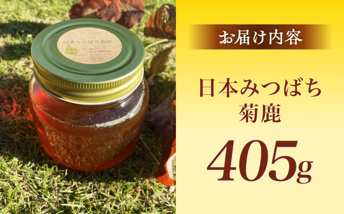 日本みつばち菊鹿約405g【山麓はっち】 [ZBM010]