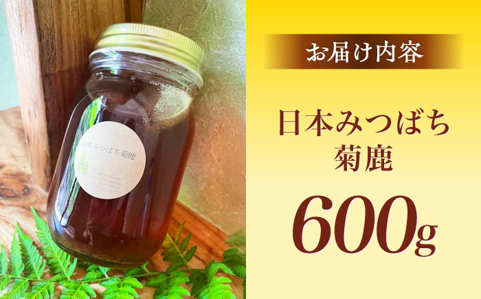 日本みつばち菊鹿約600g【山麓はっち】 [ZBM011]