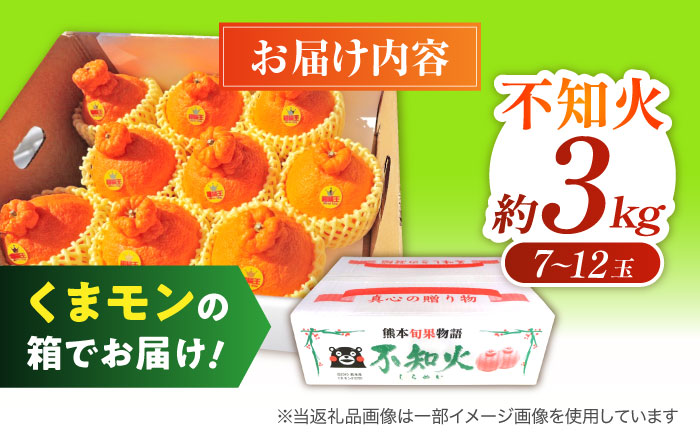 【2026年3月下旬から発送】柑橘の王様 ハウス栽培 不知火 デコポン 約3kg（7～12玉）みかん ミカン 果物 くだもの フルーツ かんきつ 熊本県産 秀 しらぬい しらぬひ  【小春農園】 [ZBN003]