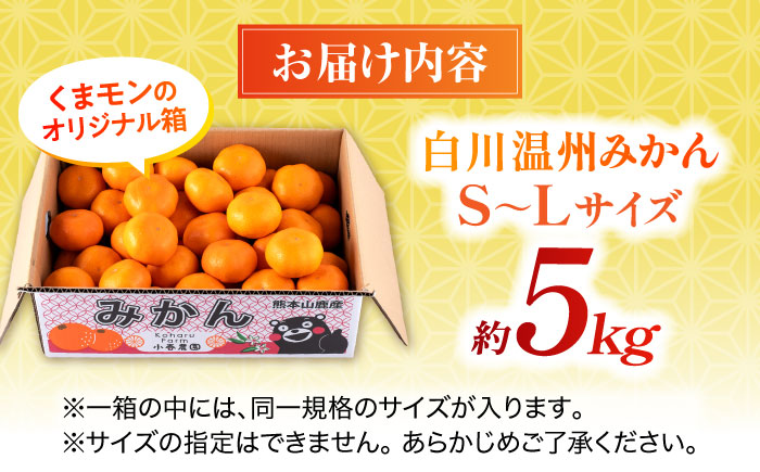 【先行予約】 旨み凝縮！ 飛龍台木 白川 温州 みかん S～Lサイズ 約5kg 山鹿市産　【小春農園】 [ZBN009]