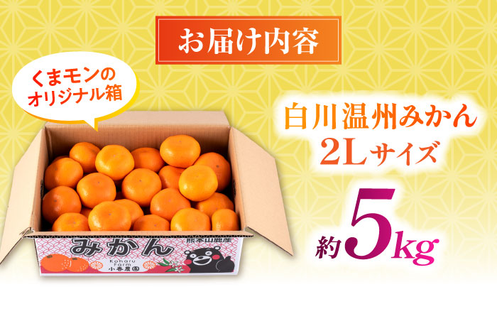 【先行予約】 旨み凝縮！ 飛龍台木 白川 温州 みかん 2Lサイズ 約5kg 山鹿市産　【小春農園】 [ZBN010]