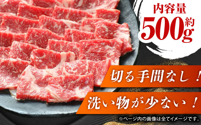 GI認証 くまもとあか牛 焼肉用 約500ｇ【山鹿市（桜屋）】 [ZBO055]