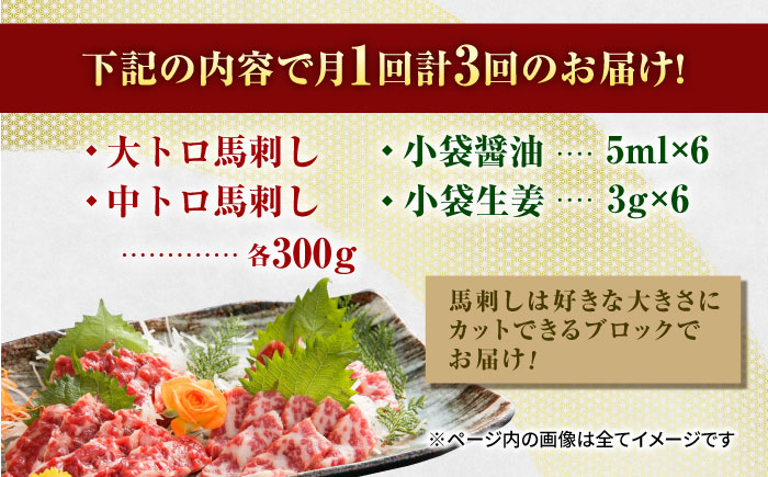 【3回定期便】特選霜降り馬刺し 大トロ中トロ2種食べ比べセット　計600ｇ（各300g）【山鹿市（桜屋）】 [ZBO060]