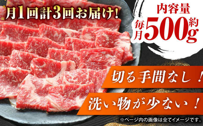 【3回定期便】GI認証 くまもとあか牛 焼肉用 約500ｇ【山鹿市（桜屋）】 [ZBO062]